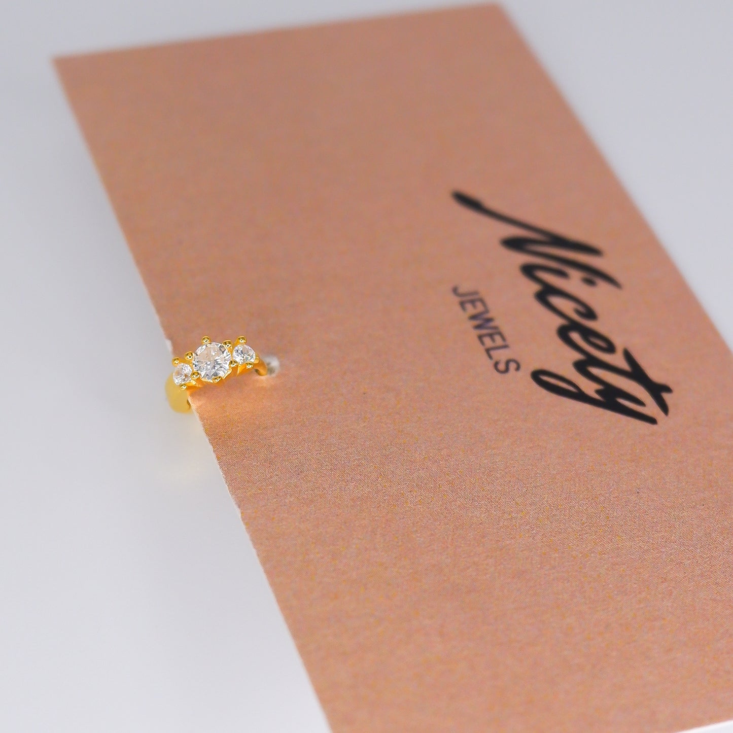 Mini Argola 6mm S925 Transparente