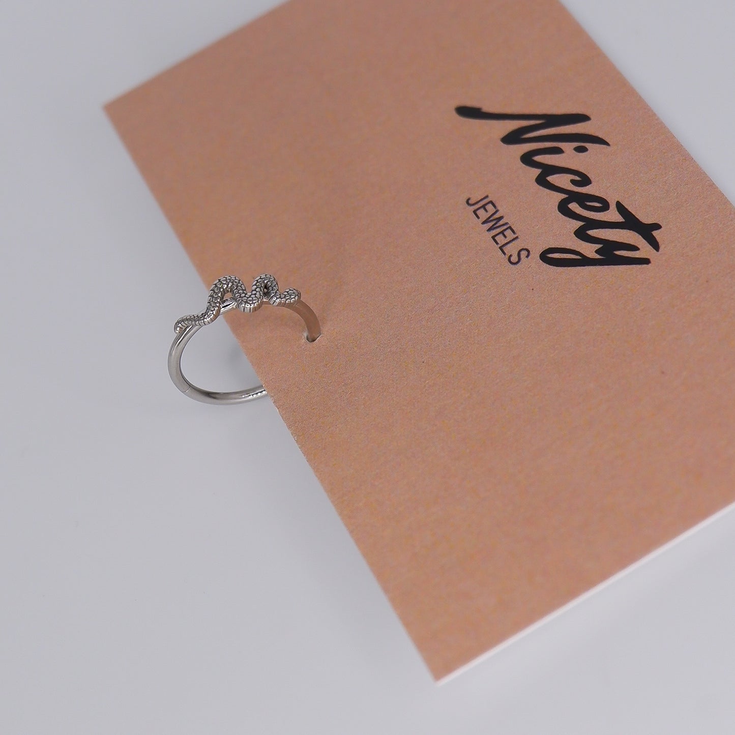 Argola Aço Inoxidável com Cobra