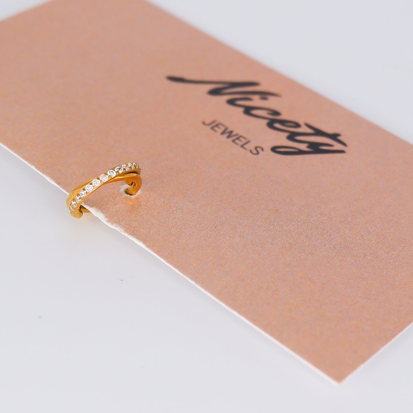 Argola Aço Inoxidável Entrelaçada Brilhantes