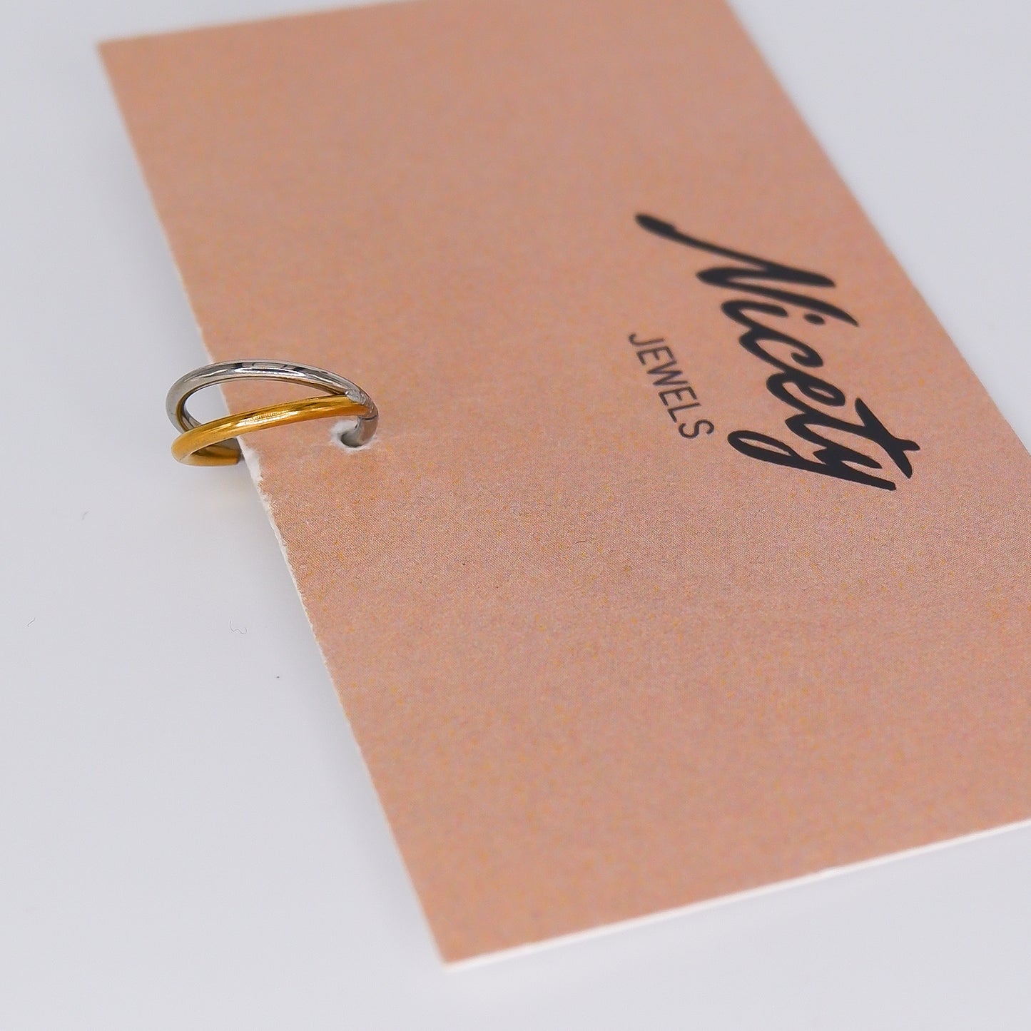 Argola Aço Inoxidável Bicolor