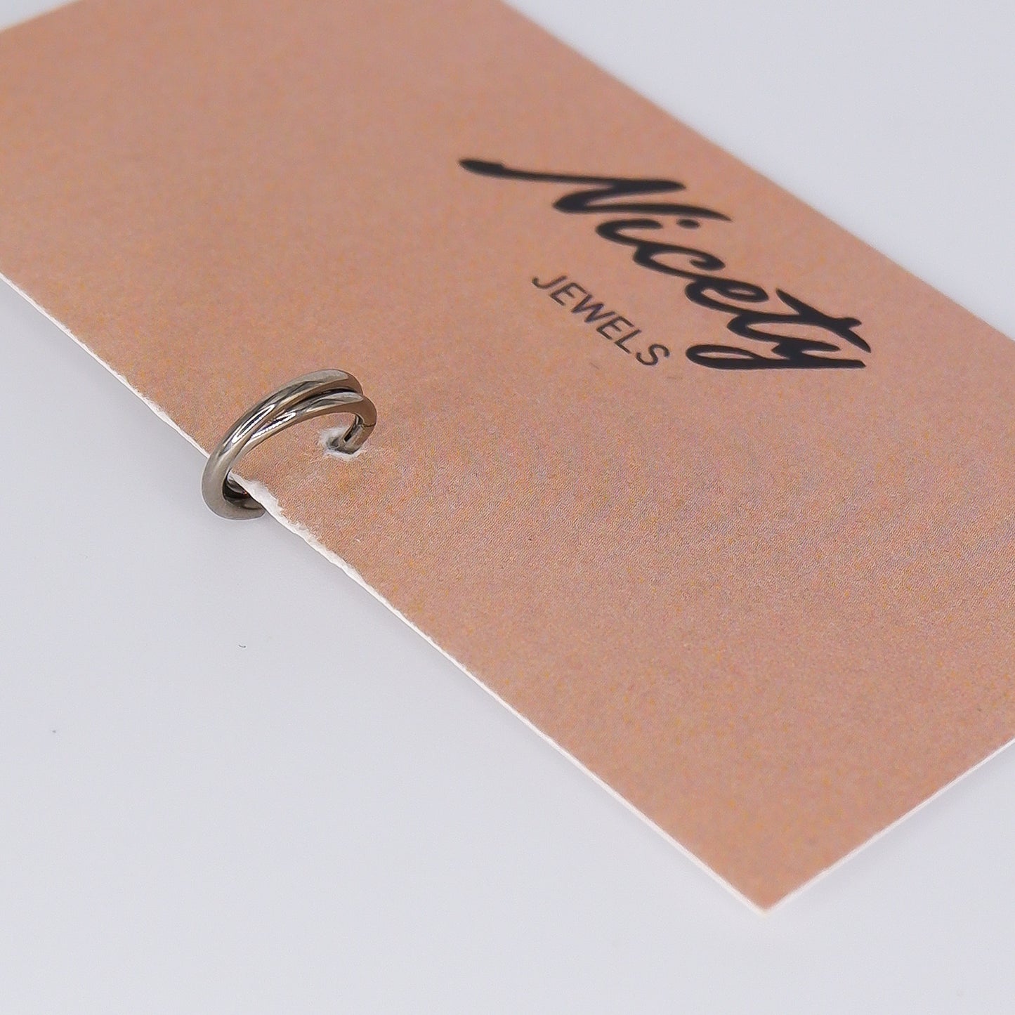 Argola Aço Inoxidável Entrelaçada Prateada