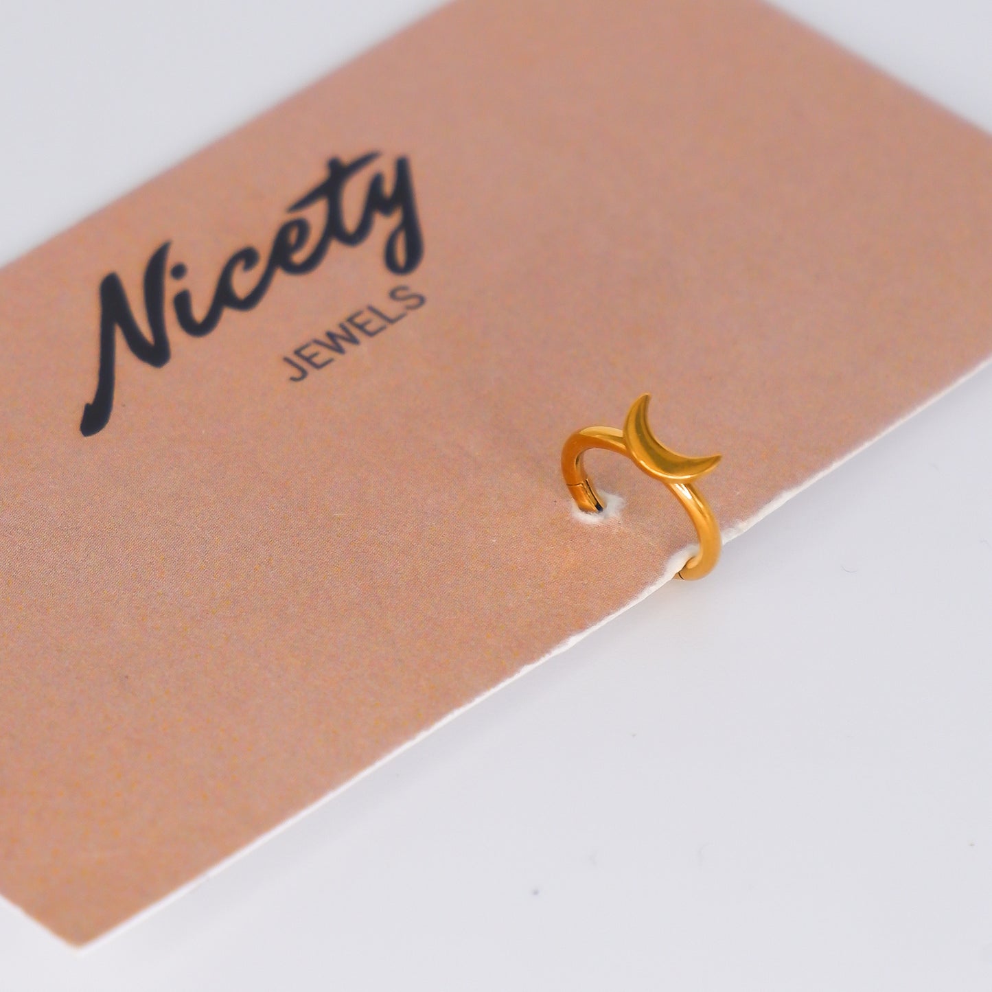 Argola Aço Inoxidável Lua