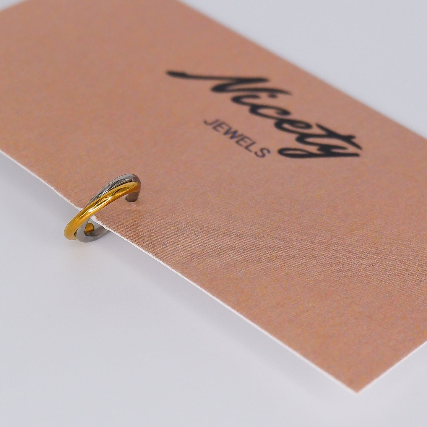 Argola Aço Inoxidável Entrelaçada