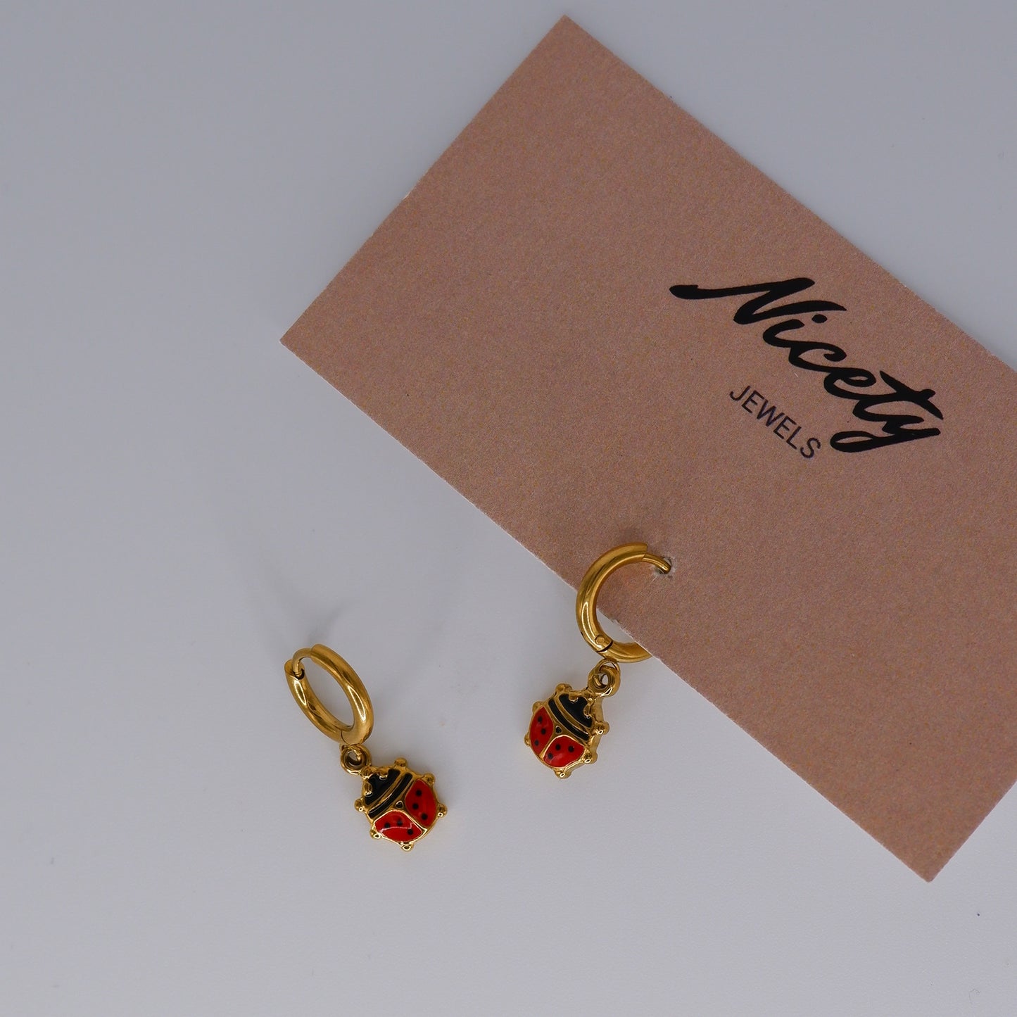 Argola Aço inoxidável Joaninha