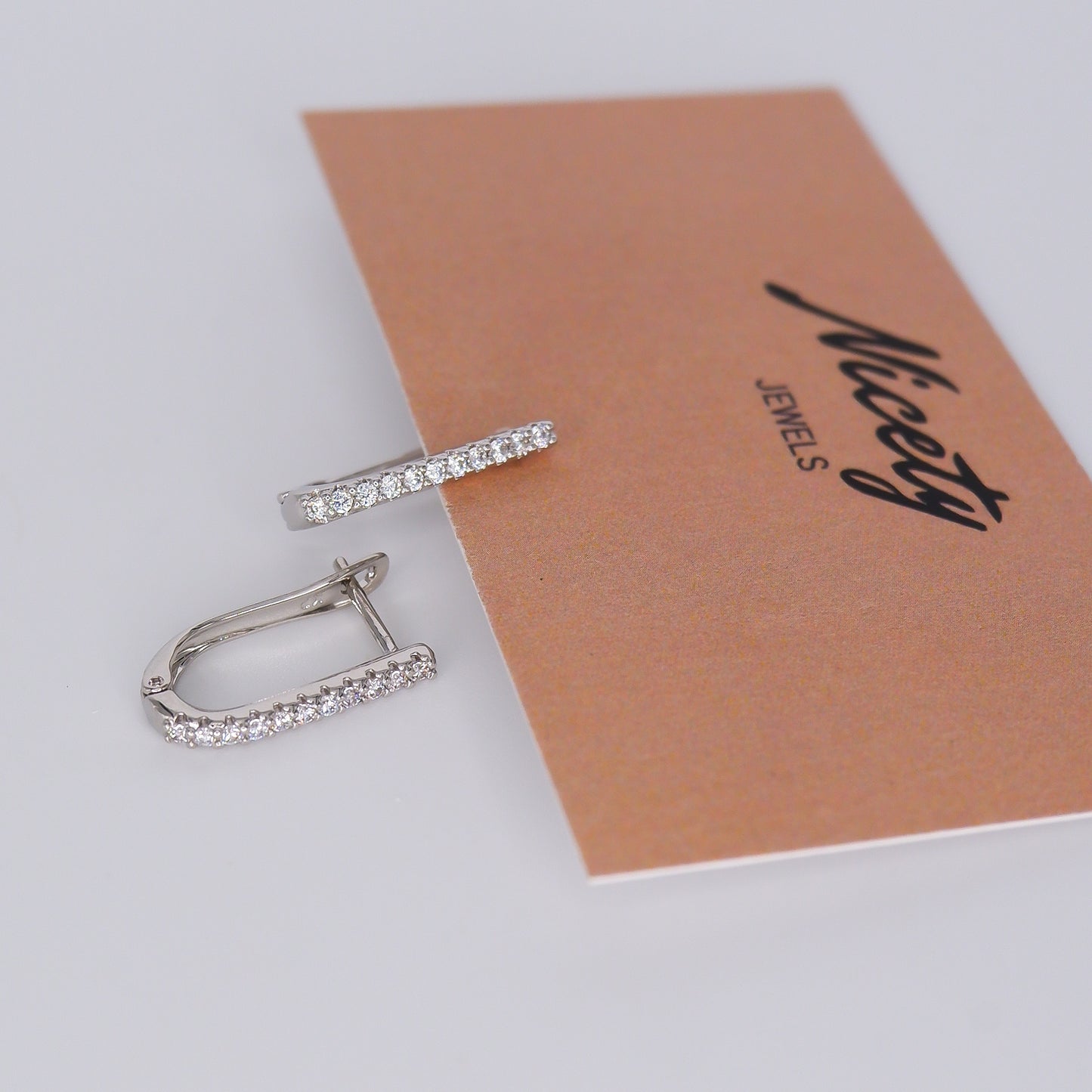 Argola Prateada Comprida Brilhante