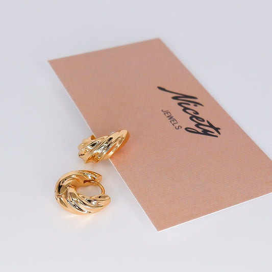 Argola Hipoalergénica Entrelaçada