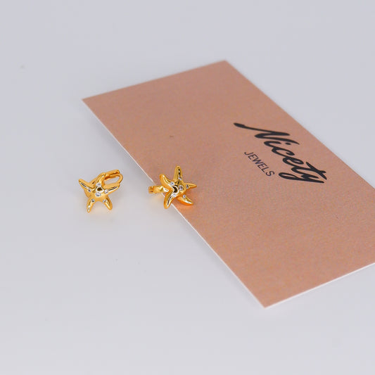 Argola Dourada Estrela Brilhante