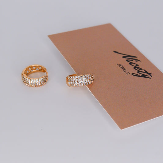 Argola Hipoalergénica Brilhantes Larga