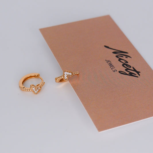 Argola Hipoalergénica Coração