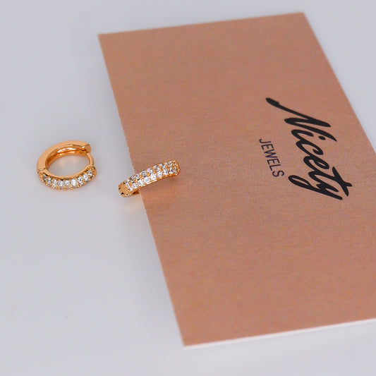 Argola Hipoalergénica Básica Brilhante