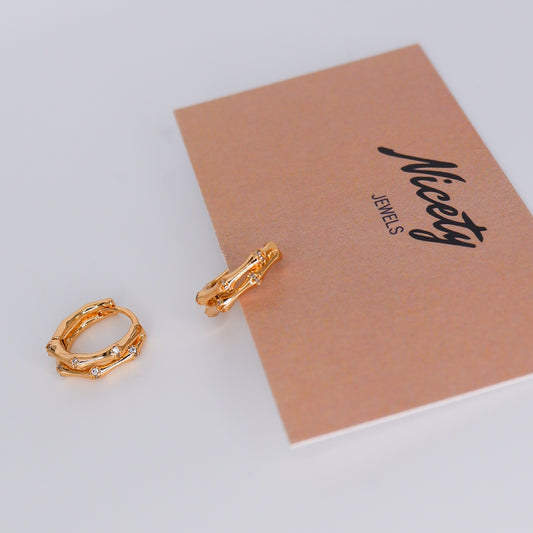 Argola Hipoalergénica Efeito Duplo