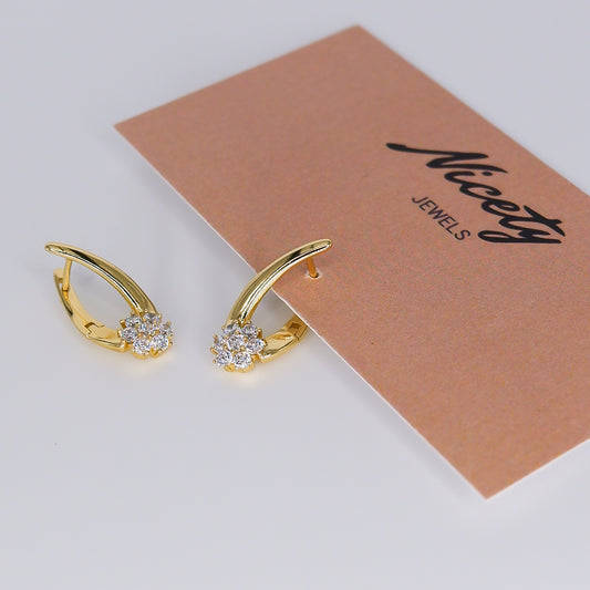 Argola Brilhantes Transparentes Flor