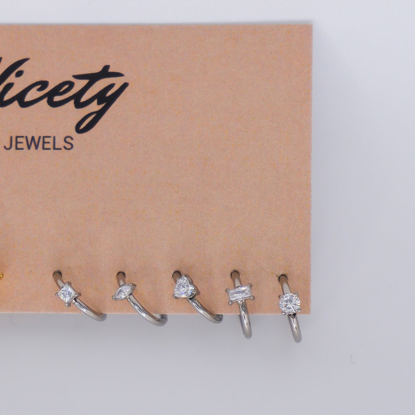 Argola Aço Inoxidável Prateada