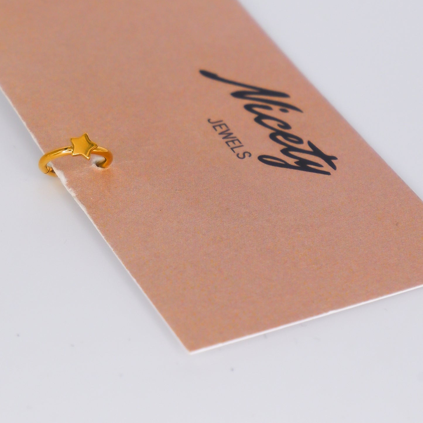 Argola Aço Inoxidável Estrela