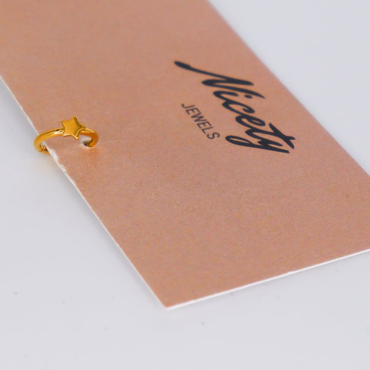 Argola Aço Inoxidável Estrela