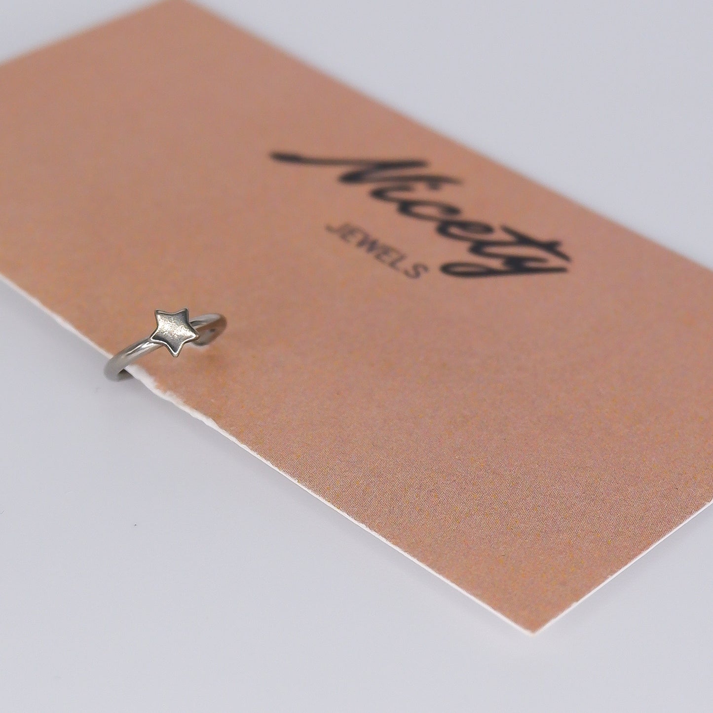 Argola Aço Inoxidável Estrela