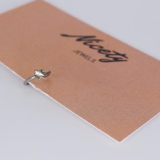 Argola Aço Inoxidável Estrela