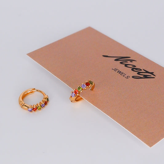 Argola Hipoalergénica Colorida