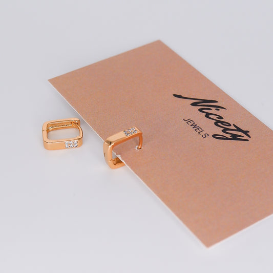 Argola Hipoalergénica Retangular com Brilho