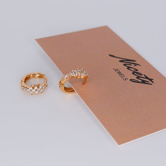 Argola Hipoalergénica 3 Flores