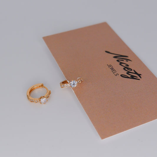 Argola Hipoalergénica Ponto de Luz