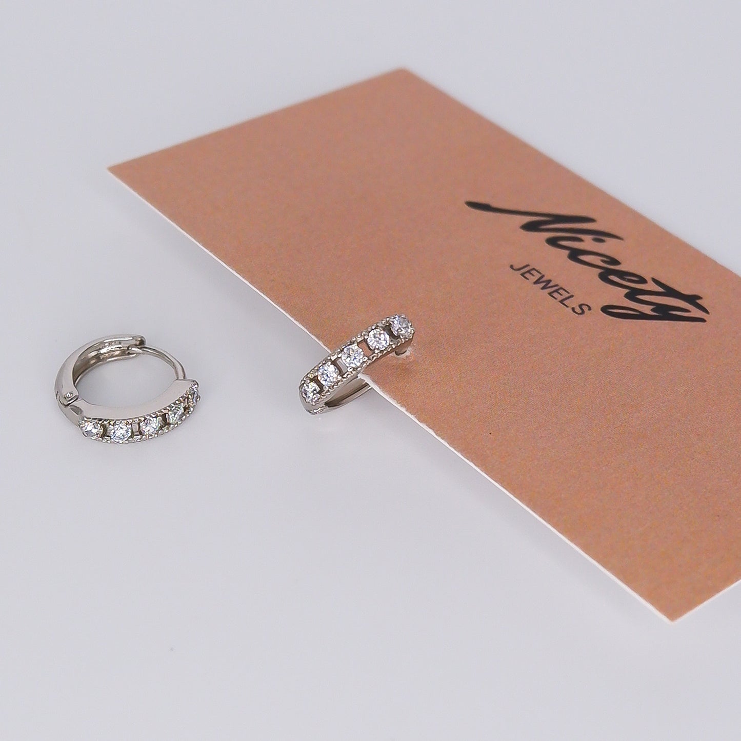 Argola Prateada Brilhantes