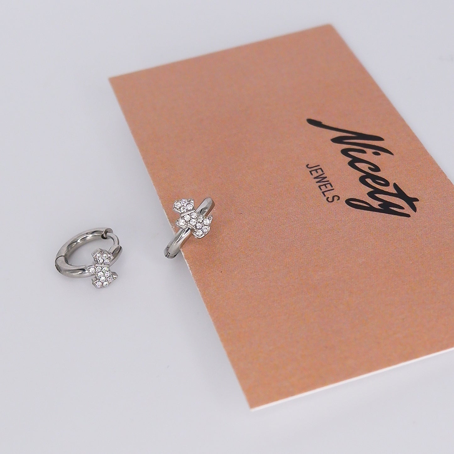 Argola Prateada Cão Brilhante