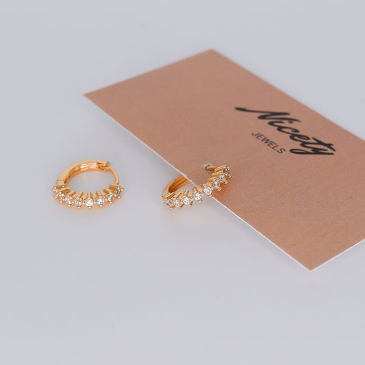 Argola com Brilhos